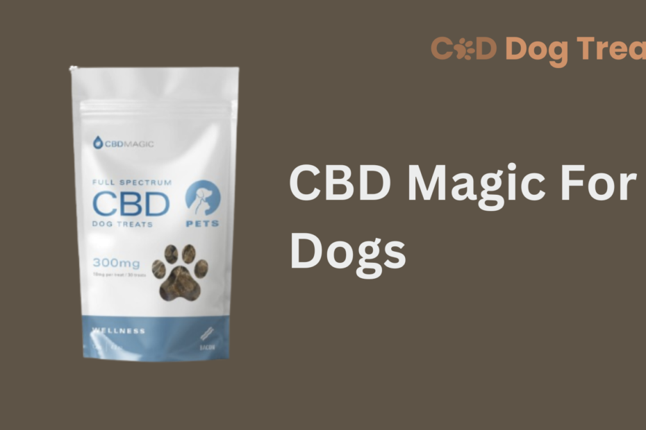 CBD magic for dogs review