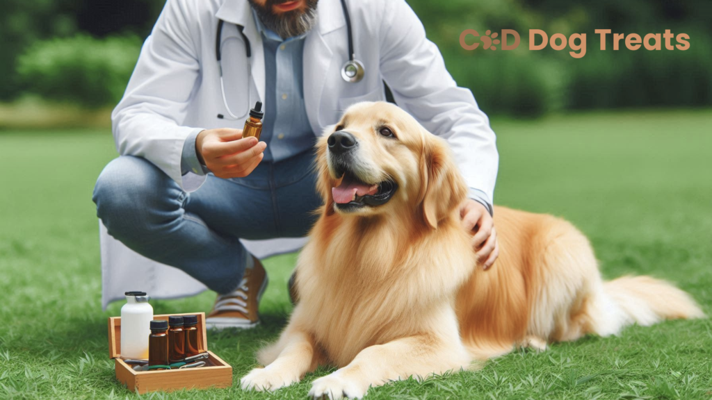 CBD products for dogs